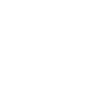 1b 1b